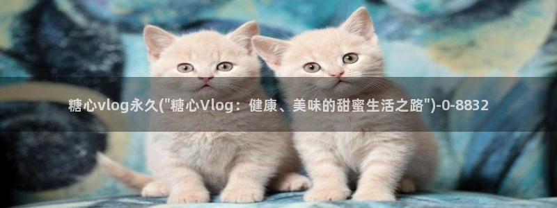 糖心vlog花季传媒