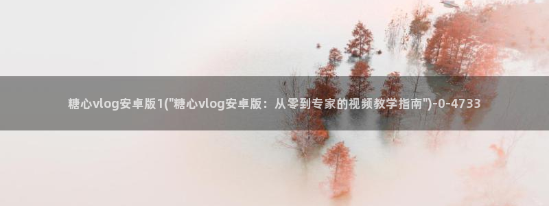 糖心vlog安装不了