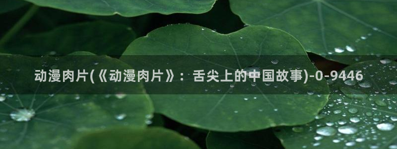 热血动漫