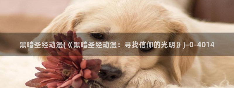 星辰变动漫