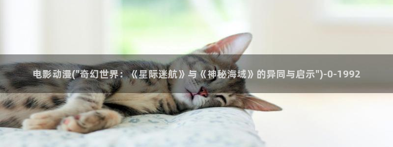 78动漫模型玩具网
