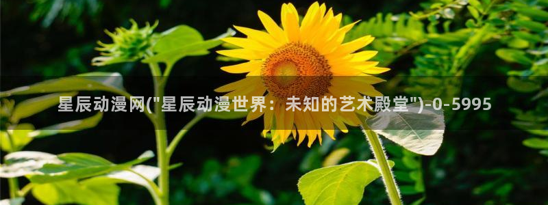 黄片动漫：星辰动漫网(\