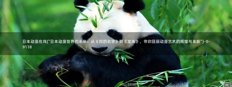 动漫二次元
