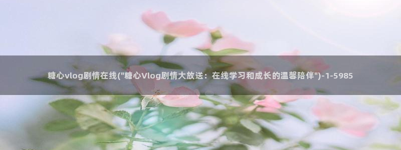 糖心vlog里面的CC